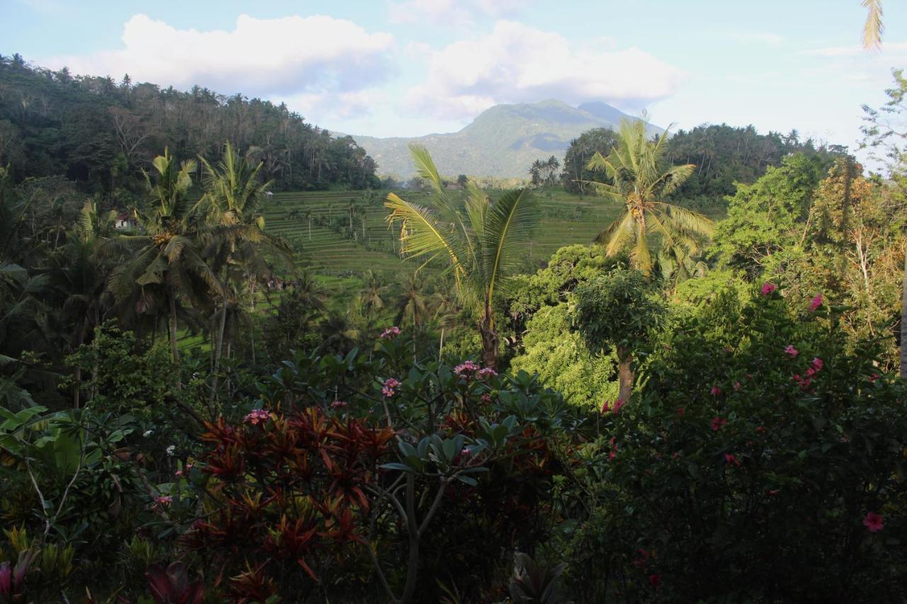 Pondok Lembah Dukuh Homestay Karangasem Eksteriør billede