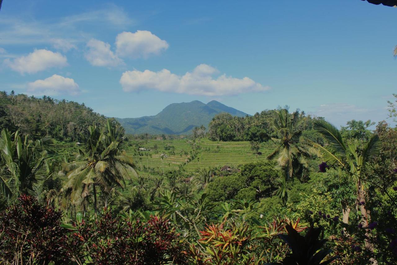 Pondok Lembah Dukuh Homestay Karangasem Eksteriør billede