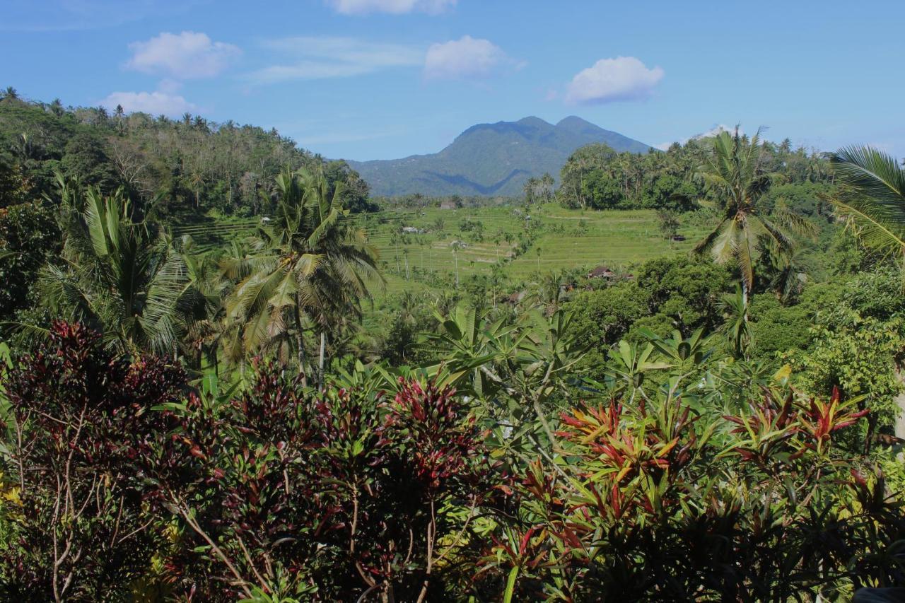 Pondok Lembah Dukuh Homestay Karangasem Eksteriør billede