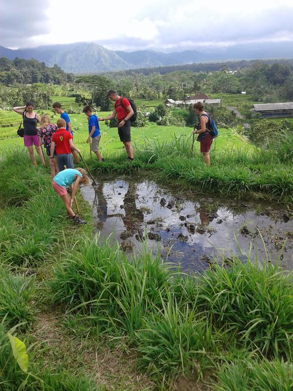 Pondok Lembah Dukuh Homestay Karangasem Eksteriør billede
